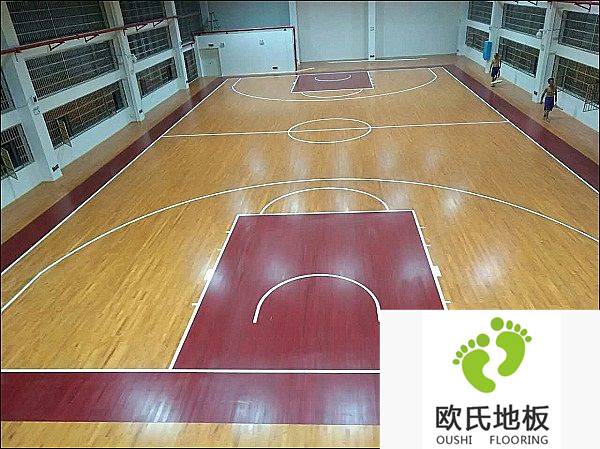 湖南長沙雨花區芙蓉路小學籃球館工程案例
